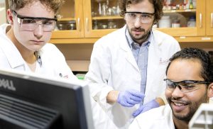 Uga Bioengineering Programs Regenerative Bioscience Major